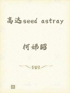 高达seed astray